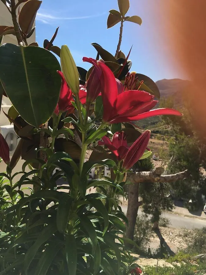*** Bed & Breakfast Apartamento Rural Casa Medico Turre Spain